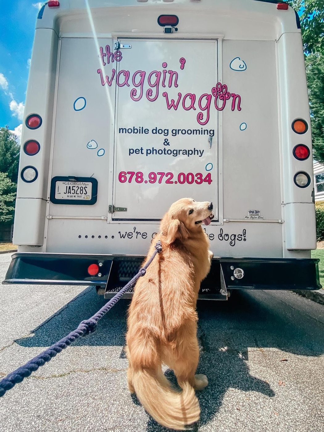 Dog waiting behind a Waggin’ Wagon van